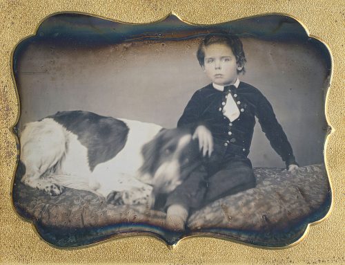 Precocious Boy Quarter Plate Dag