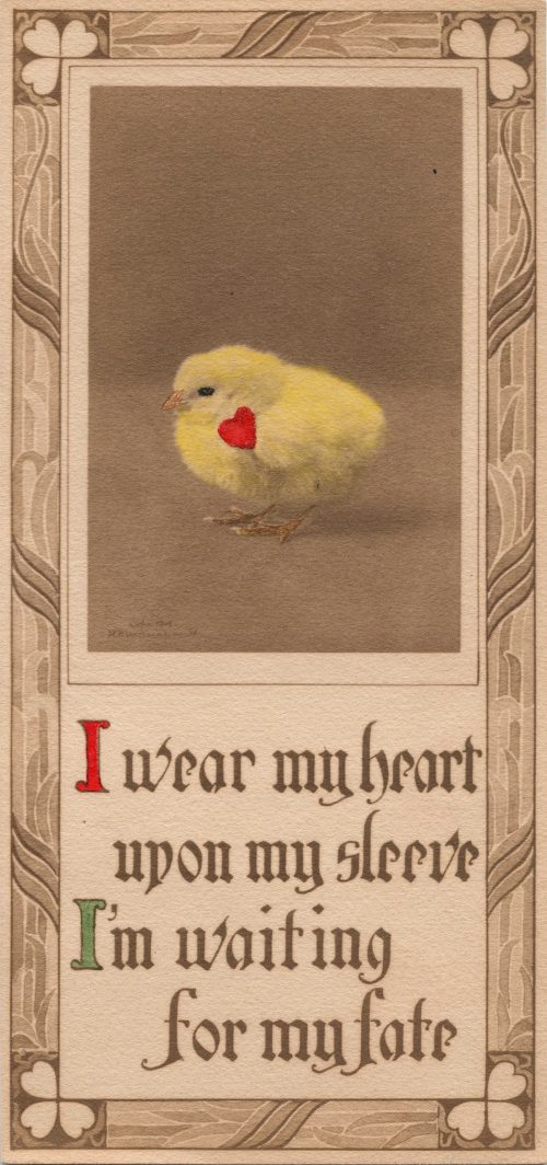HEART UPON MY SLEEVE.