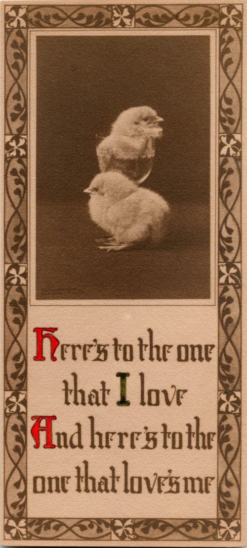 CHICKS IN LOVE.