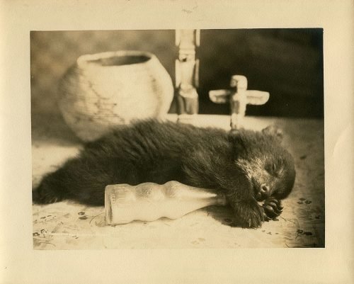 BABY BEAR, BOTTLE, AND INDIAN ART.