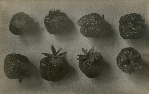 EIGHT STRAWBERRIES.