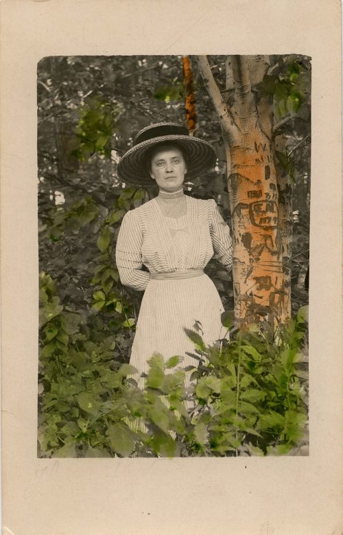 1910 TREE CARVINGS