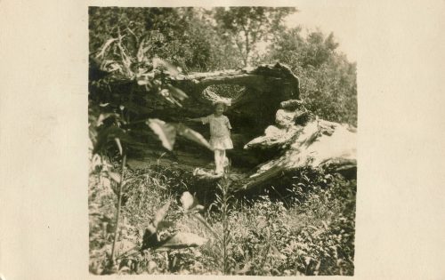 GIRL IN LOG.