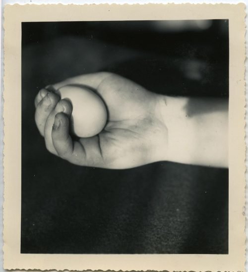 HOLDING AN EGG