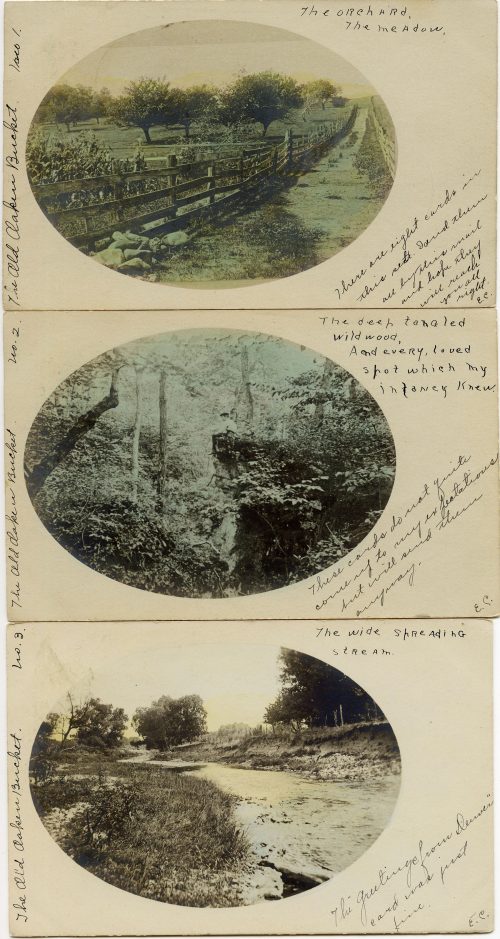 Eight Clever, Hand Tinted Photo Postcards Illustrating The Old Oaken Bucket By Samuel Woodworth