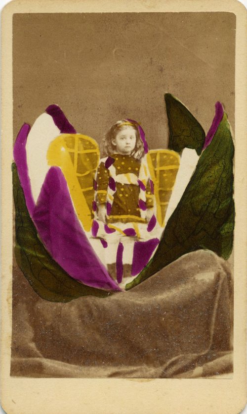 THE FAIRY’S BUTTERFLY.